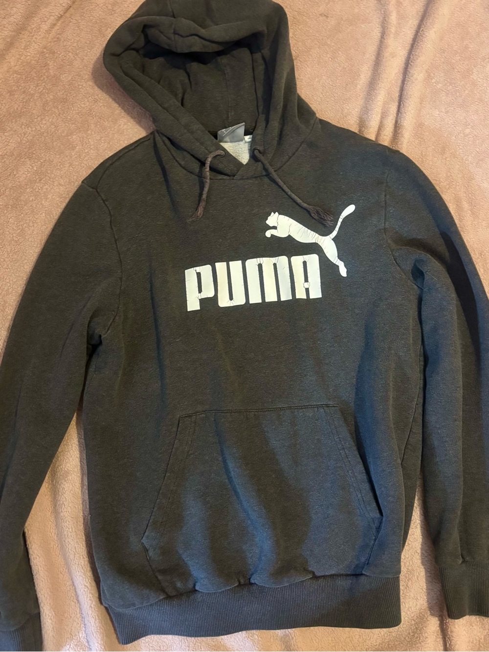 Puma Dark Gray Hoodie with White Logo